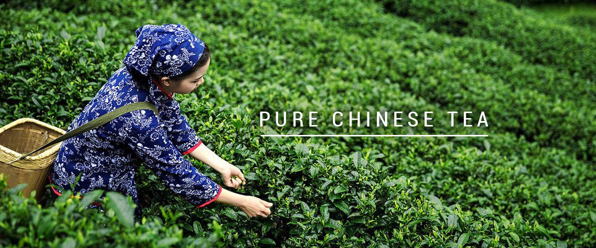Trung Quốc tốt Trà ô long hữu cơ bán hàng